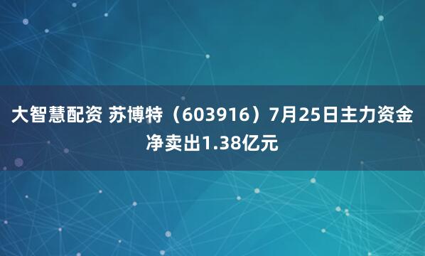 大智慧配资 苏博特（603916）7月25日主力资金净卖出1.38亿元