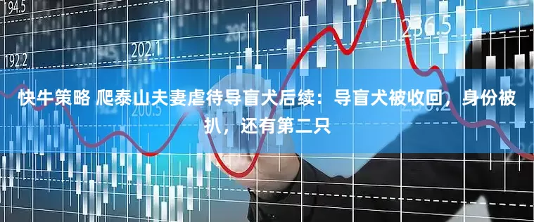 快牛策略 爬泰山夫妻虐待导盲犬后续：导盲犬被收回，身份被扒，还有第二只