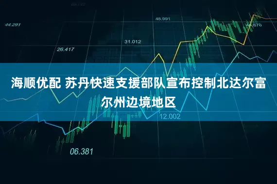 海顺优配 苏丹快速支援部队宣布控制北达尔富尔州边境地区